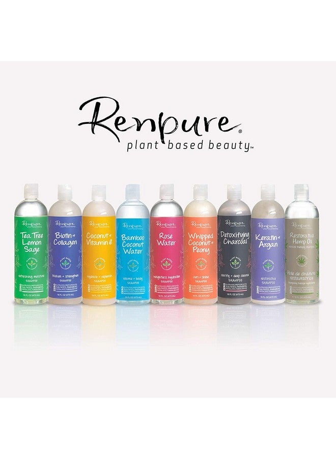 Renpure Plant-Based Beauty Detoxifying Charcoal Clarify + Deep Cleanse Shampoo, 16 Fluid Ounce - Image 3