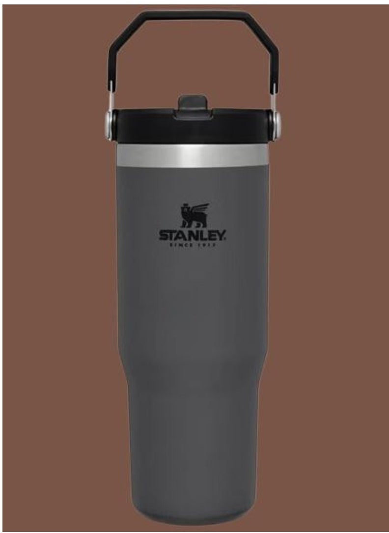 Stanley - IceFlow Stainless Steel Tumbler with Straw, Vacuum Insulated Water Bottle Charcoal, 0041604348020 – Keeps Drinks Cold for 12 Hours – Leakproof, BPA-Free – Durable, Easy-Carry Travel Mug, 1 Count (Pack of 1) - Image 1
