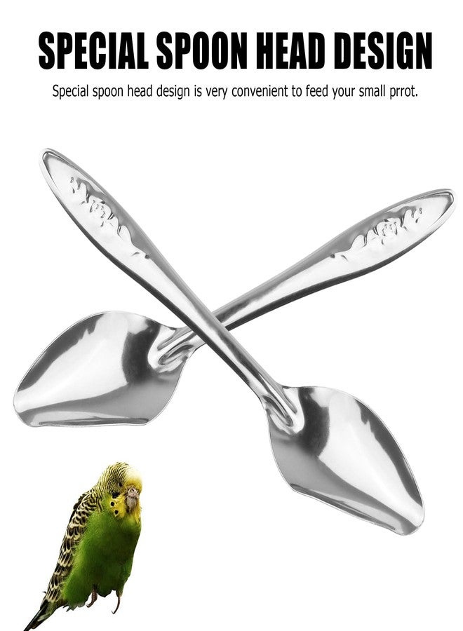 YAODHAOD 4.7" Bird Parrot Stainless Steel Metal Feeding Spoon Parrot Feeding Scoops Hand Feeding Spoons for Parrot (3PCS) - Image 3