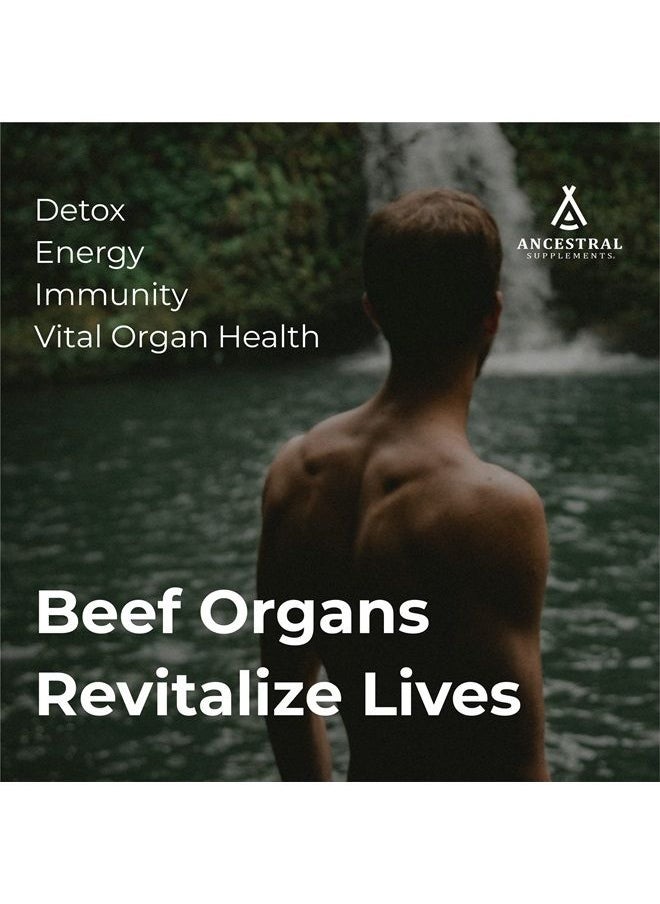 Ancestral Supplements - Grass Fed Beef Organ Supplement, Supports Whole Body Wellness with Proprietary Blend of Liver, Heart, Kidney, Pancreas, Spleen, Freeze-Dried Beef, Non-GMO, 180 Capsules - Image 1