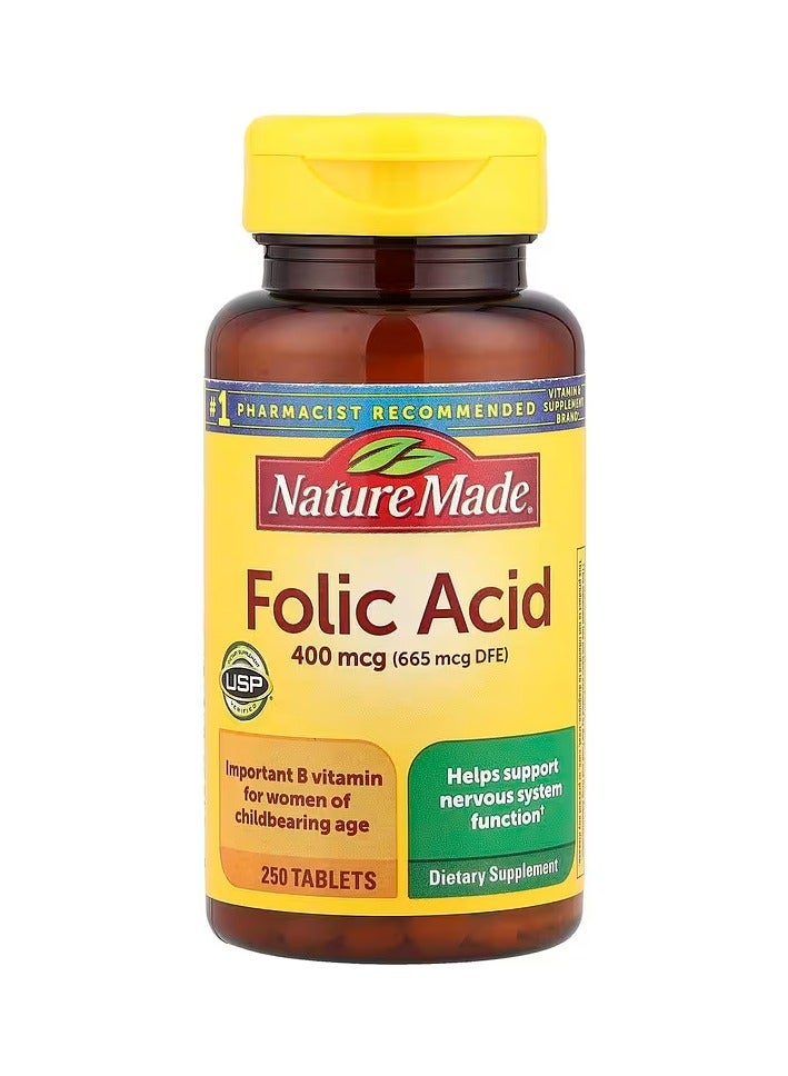 Nature Made Folic Acid 400 Mcg Tablets 250 Tablets - Image 1
