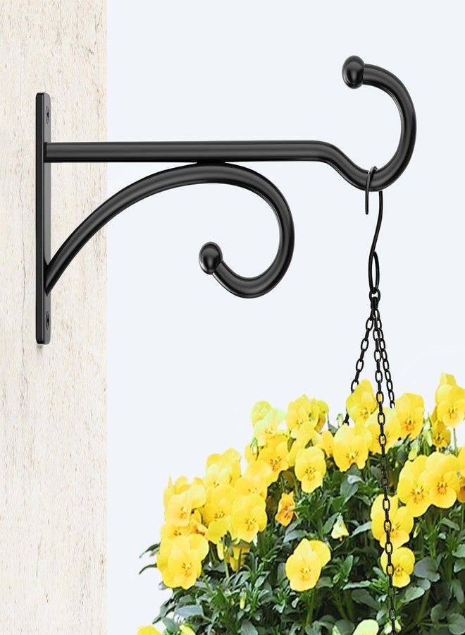 حامل نباتات معلق من بيكبيف، 6 بوصات - Image 2