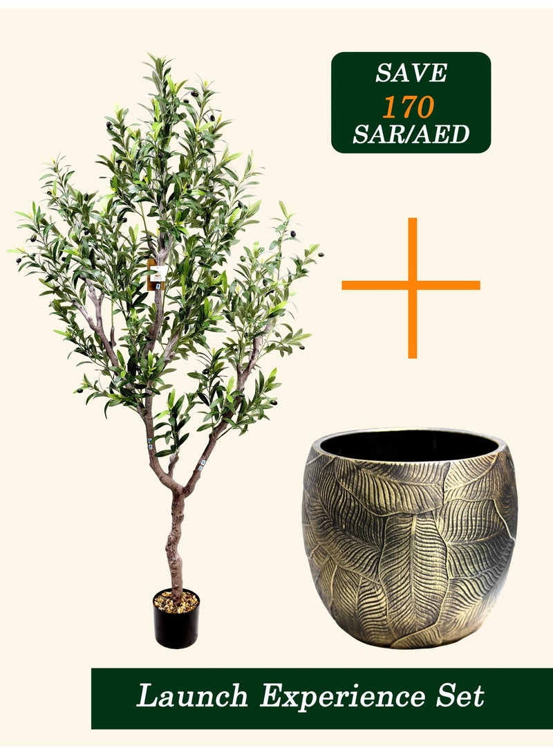 شجرة زيتون صناعية مع أصيص – إصدار الإطلاق - Image 1