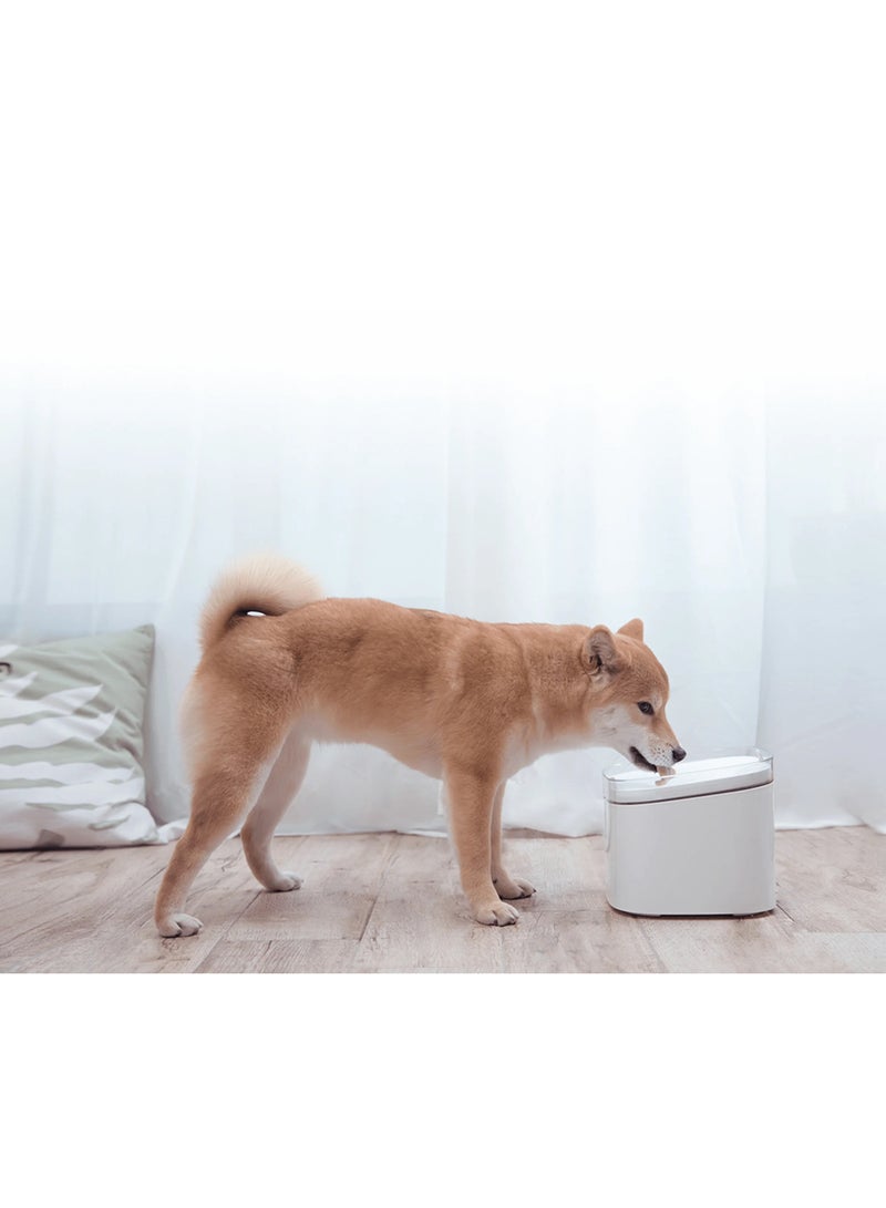 شاومي Xiaomi Smart Pet Fountain 24-hour healthy water housekeeper for pet Circulating water spring | 4-stage filtering | Quiet-running | Smart home connection - Image 2