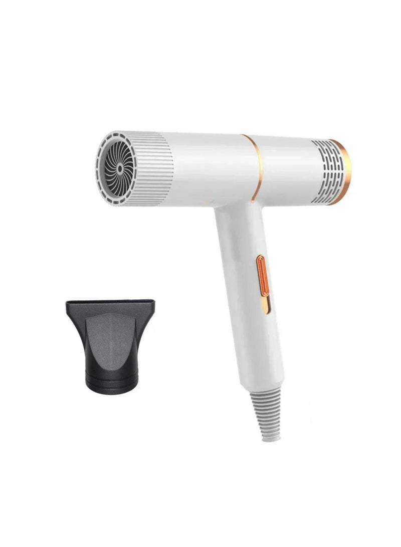 Denx Hair Dryer with Ionic Technology, 800W Fast Drying, Lightweight Design, 3 Heat/ 2 Speed Settings, Cool Shot, Foldable Handle, and Overheat Protection for All Hair Types