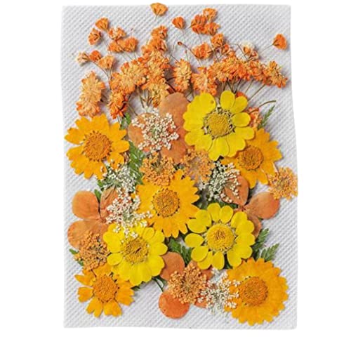 iKalaa® Pressed Dried Flowers for Resin, Mixed Multiple Dry Flower for DIY Art Crafts, Epoxy Candle Resin Jewellery Nail Pendant Crafts Art Floral Decoration - Image 1