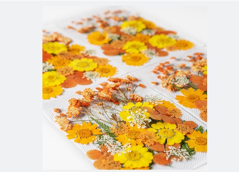 iKalaa® Pressed Dried Flowers for Resin, Mixed Multiple Dry Flower for DIY Art Crafts, Epoxy Candle Resin Jewellery Nail Pendant Crafts Art Floral Decoration - Image 4
