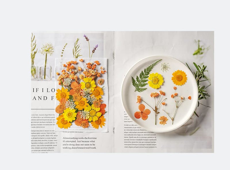 iKalaa® Pressed Dried Flowers for Resin, Mixed Multiple Dry Flower for DIY Art Crafts, Epoxy Candle Resin Jewellery Nail Pendant Crafts Art Floral Decoration - Image 2