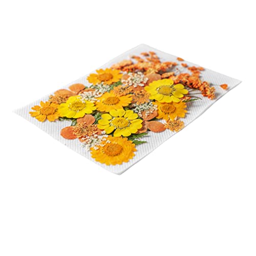 iKalaa® Pressed Dried Flowers for Resin, Mixed Multiple Dry Flower for DIY Art Crafts, Epoxy Candle Resin Jewellery Nail Pendant Crafts Art Floral Decoration - Image 3
