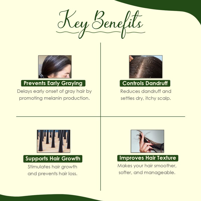 minature مسحوق بهراينجراج من مي ناتشر (إكليبتا بروستراتا) | الأقحوان الكاذب | أوراق جافة طبيعية ونقية | مثالي للزيت والخلطة | يحسن القوام | يتحكم في تصبغ الشعر | 100 جرام (4 أوقيات) - Image 3