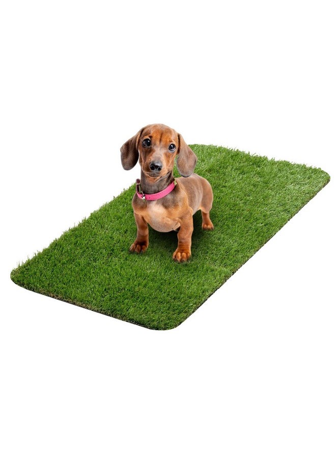 Ottomanson - Pet Training Collection Easy Clean Indoor/Outdoor Reusable Training Grass Pad, 15" X 30", Green - Image 1