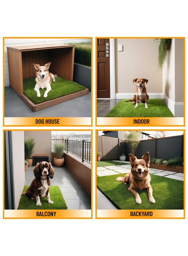 Ottomanson - Pet Training Collection Easy Clean Indoor/Outdoor Reusable Training Grass Pad, 15" X 30", Green - Image 1