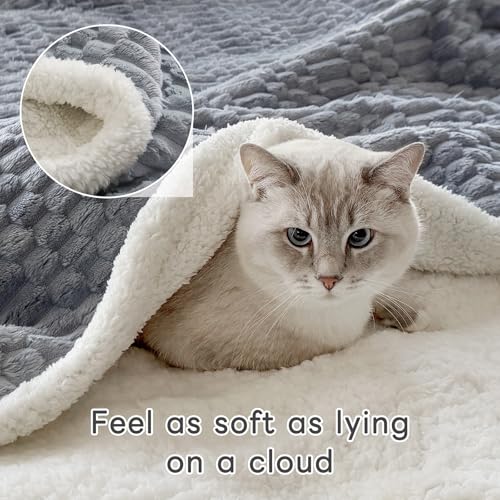 Gracelife Sherpa Throw Blanket for Couch Flannel Cozy Soft Thick Blanket Warm Twin Blanket for Bed Fleece Home Decor Gifts, Z01 - Grey Blue, 60"*80" - Image 3