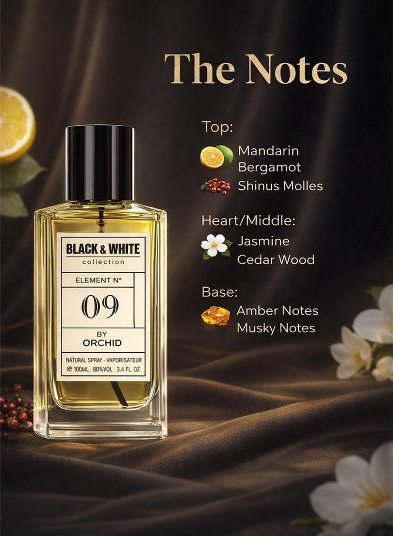 Orchid Black and White Element N.09 Pour Femme EDP 100ml – Long Lasting Citrus Woody Perfume for Women with Mandarin, Bergamot, Jasmine, Cedarwood, Amber & Musk - Image 2