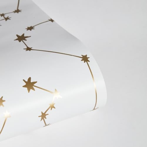 Tempaper Novogratz x Tempaper Frost Constellations Removable Peel and Stick Wallpaper, 20.5 in X 16.5 ft, Made in the USA - Image 5