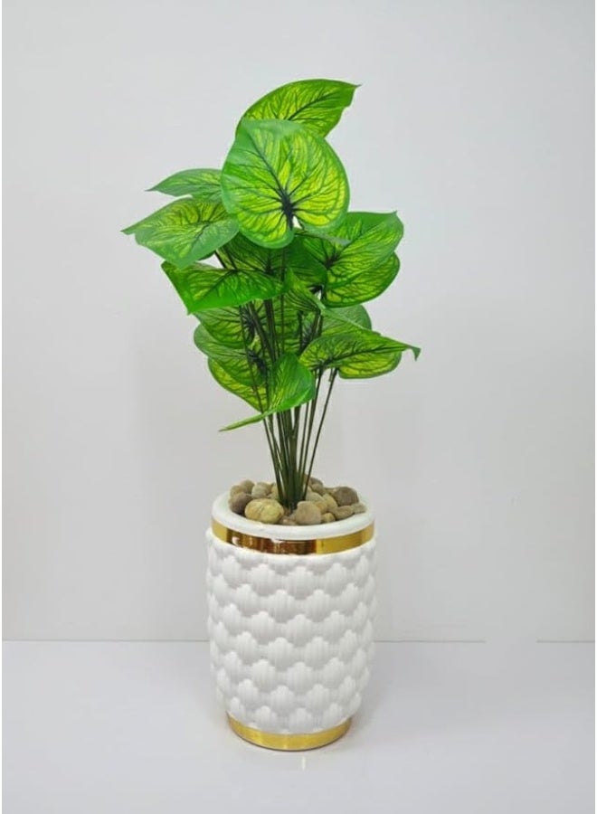Elegant Decorative Plant with a Modern Design - Image 1