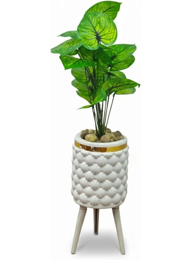 Elegant Decorative Plant with a Modern Design - Image 3