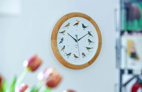 KOOKOO Singvogel Wood, Singing birdclock Includes 12 Genuine Original Field Recordings from Native Songbirds - Image 4