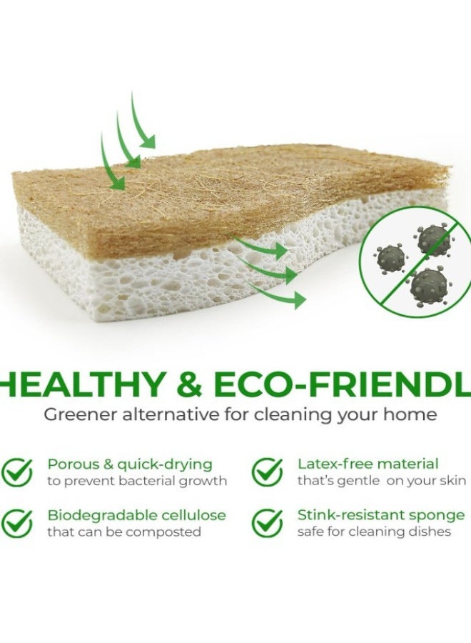 Eco Washing Up Dish Sponges Pack of 12 - Dual Sided S-Shape Natural Wood Cellulose u0026 Coconut Kitchen Sponges Multipack - Heavy Duty, Non Scratch, Non Stick Cookware, Pan, Pot u0026 Dish Scrubbers - Image 4