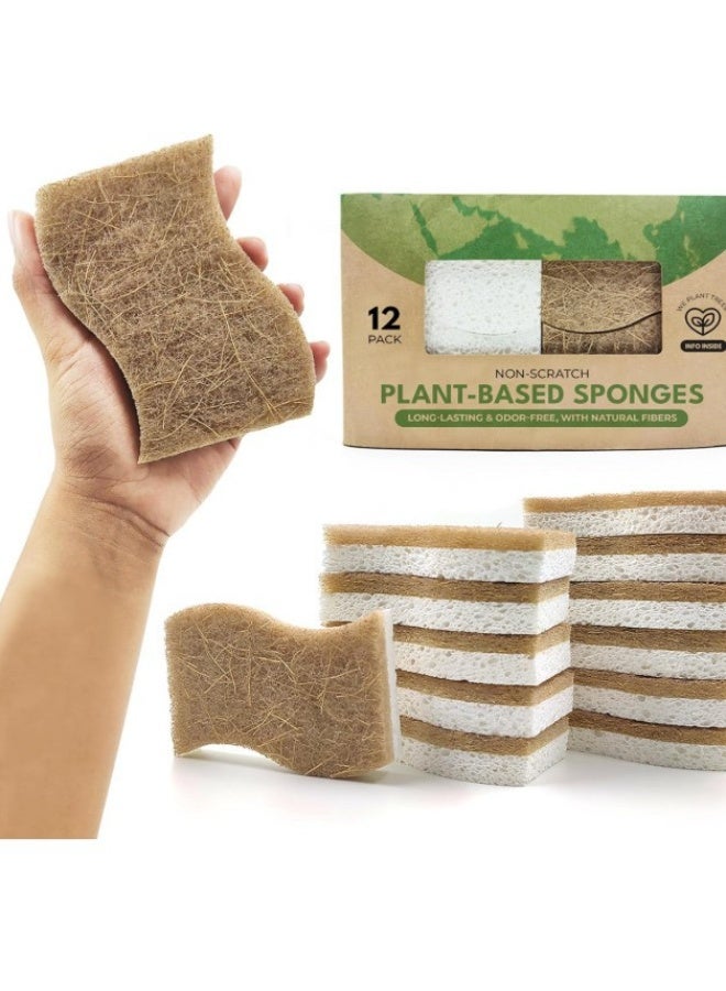 Eco Washing Up Dish Sponges Pack of 12 - Dual Sided S-Shape Natural Wood Cellulose u0026 Coconut Kitchen Sponges Multipack - Heavy Duty, Non Scratch, Non Stick Cookware, Pan, Pot u0026 Dish Scrubbers - Image 1