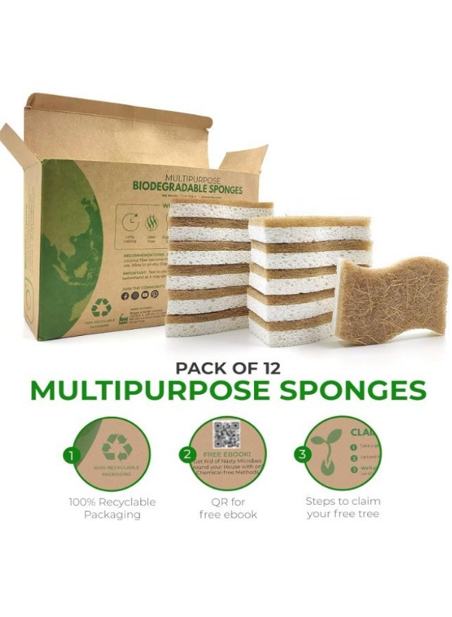 Eco Washing Up Dish Sponges Pack of 12 - Dual Sided S-Shape Natural Wood Cellulose u0026 Coconut Kitchen Sponges Multipack - Heavy Duty, Non Scratch, Non Stick Cookware, Pan, Pot u0026 Dish Scrubbers - Image 5