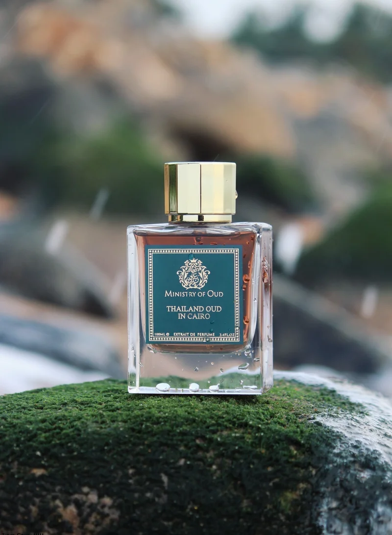 PARIS CORNER PARIS CORNER MINISTRY OF OUD - THAILAND OUD IN CAIRO 100ML