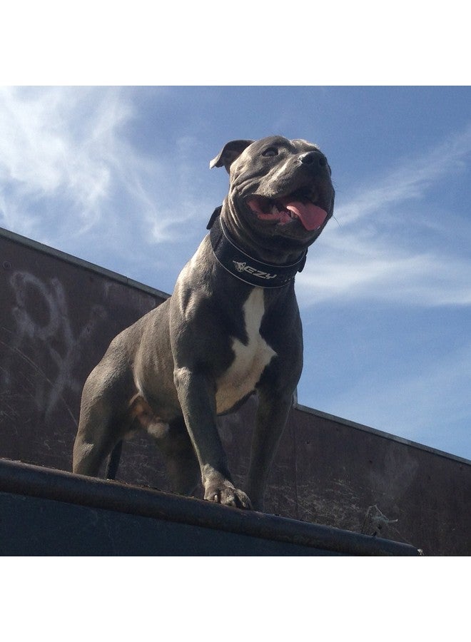 إيزي دوج طوق إيزي دوج نيو كلاسيك عريض من النيوبرين مقاوم للماء والروائح الكريهة للكلاب الكبيرة - عاكس للسلامة الليلية ومبطن للراحة - متانة فائقة وسهولة التنظيف (XXX-Large، أسود) - Image 4