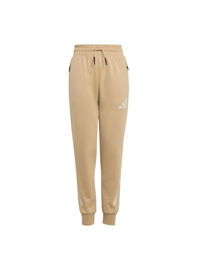 Adidas Adidas J Z.N.E. Pt Brown Pants (1/1) Pants For Kids