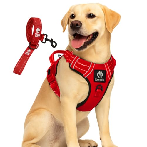 Doggo Bite Premium Reflective Dog Vest Harness| Soft Breathable| Padded Handle| Adjustable Straps & Luxury Buckle| No-Choke Design with Free Leash-26mm Chest (28-35inch) All Medium Breeds 14-22 Kg - Image 1