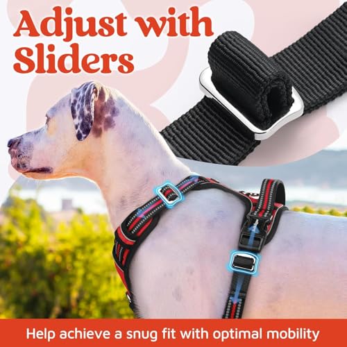 Doggo Bite Premium Reflective Dog Vest Harness| Soft Breathable| Padded Handle| Adjustable Straps & Luxury Buckle| No-Choke Design with Free Leash-26mm Chest (28-35inch) All Medium Breeds 14-22 Kg - Image 5