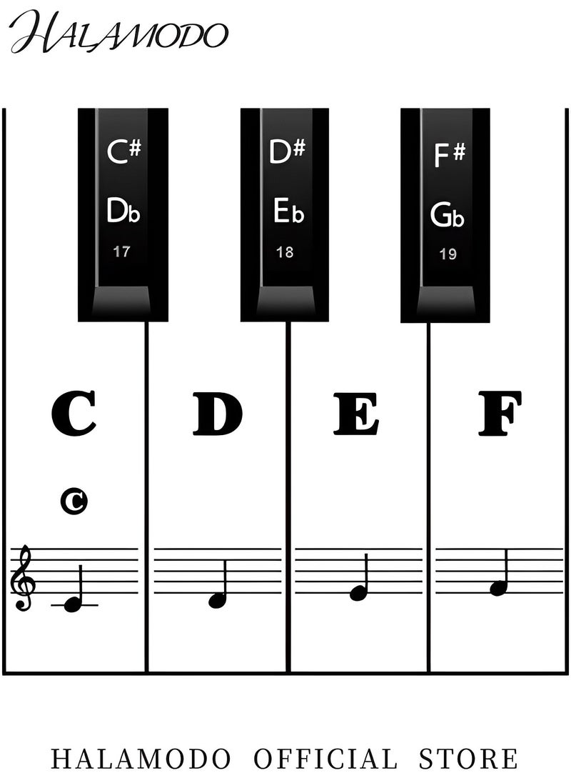 HALAMODO Transparent Piano Keyboard Stickers PVC Sticker Labels Piano Note Stickers Small Piano Accessories Removable Piano Keyboard Letters Great Visual Tool for Beginners and Kids  - Image 3