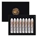 Paul Rubens White Oil Pastels 8 Pack UltraCreamy Blendable Bullet Tip for Precision Premium Art Supplies for Drawing Sketching Painting Ideal for Artists Students Beginners - Image 2