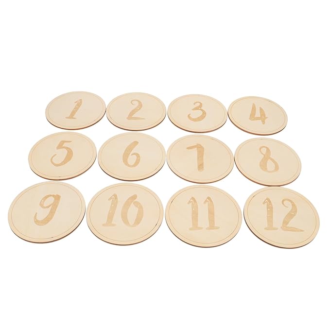 Monthly Photo Discs Growth Cards For Newborn Photography Keepsake 10x10x0 3cm - Image 1