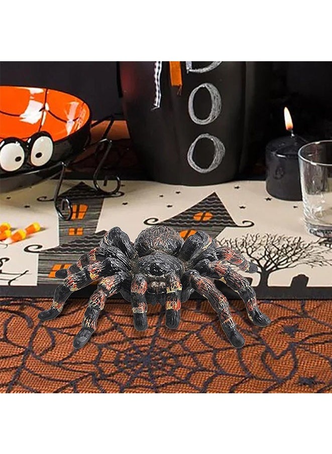 Spider Model,Realistic Spider Learning Toy,Spider Animal Model, Educational Funny Spider Decoration for Education  - Image 3