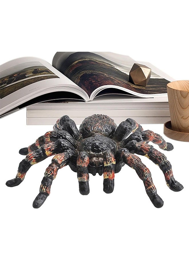 Spider Model,Realistic Spider Learning Toy,Spider Animal Model, Educational Funny Spider Decoration for Education  - Image 5