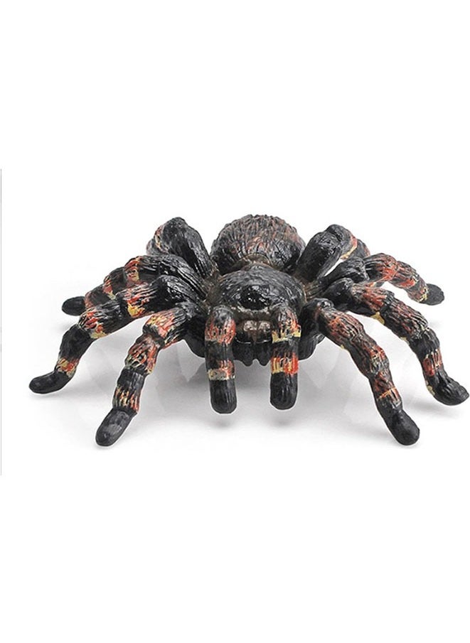 Spider Model,Realistic Spider Learning Toy,Spider Animal Model, Educational Funny Spider Decoration for Education  - Image 1