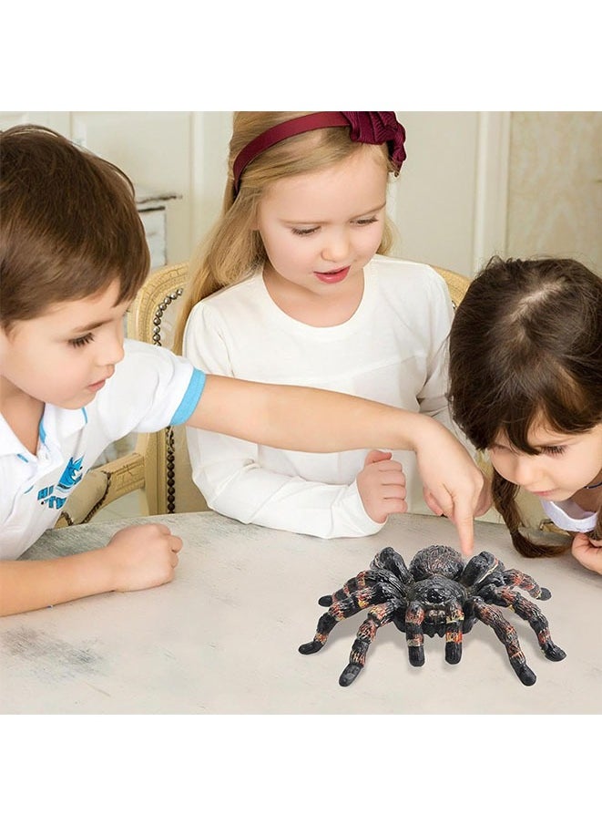 Spider Model,Realistic Spider Learning Toy,Spider Animal Model, Educational Funny Spider Decoration for Education  - Image 2