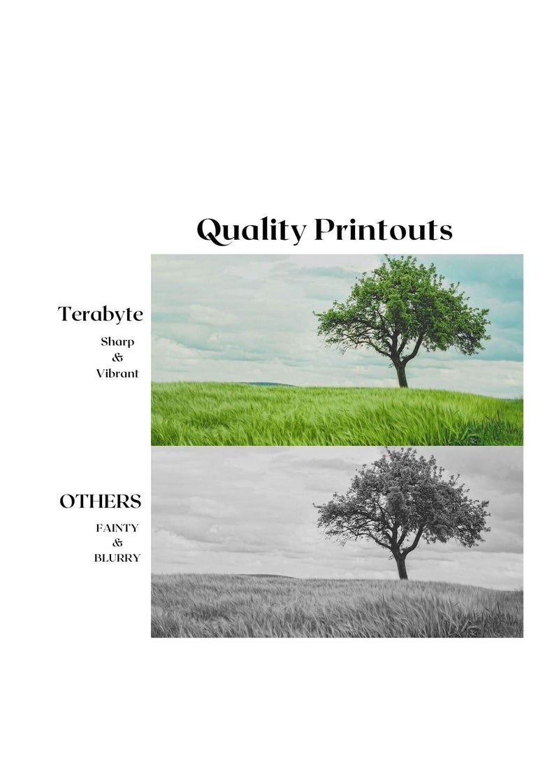 Terabyte NPG46/GPR31/EXV29 (4COLORS) COMPATIBLE TONER TERABYTE - Image 2