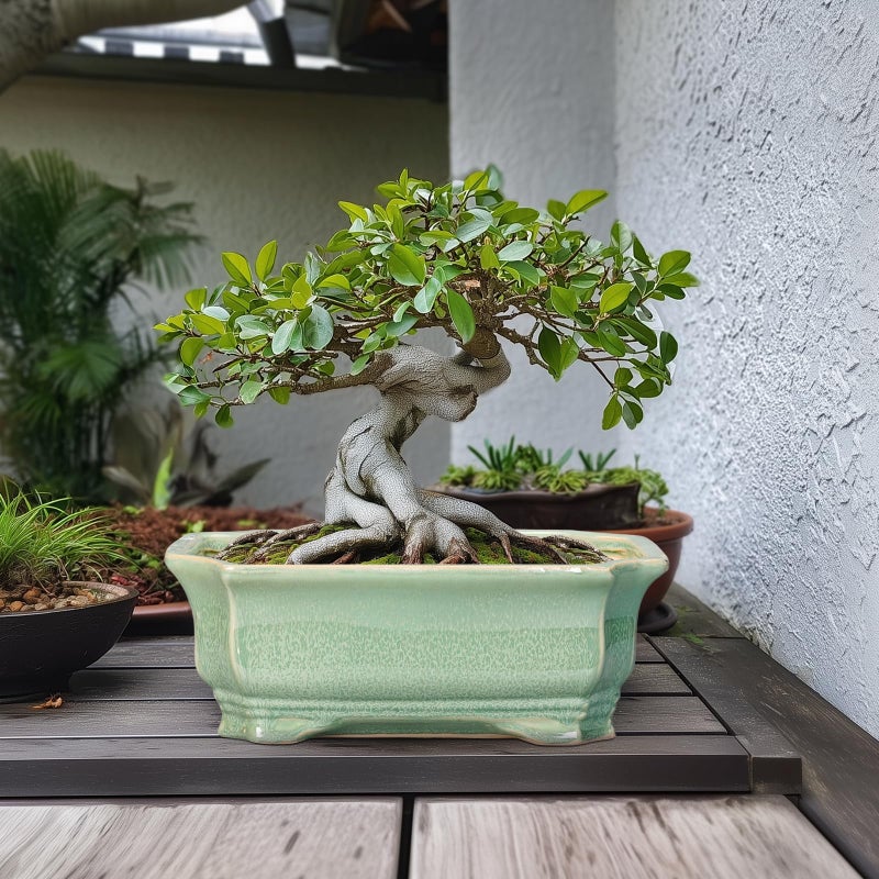 Teagas Bonsai Pots - 13.7 Inch Rectangle Ceramic Pots for Plants, Large Succulent Planter with Drainage Hole, Decorative Planters for Indoor Outdoor, Garden House Decor, Housewarming Gifts, Green - Image 3
