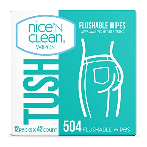 Nice 'N Clean Adult Flushable Wipes (12 x 42 Count) | Personal Cleansing Wipes Made from Plant-Based Fibers | Infused with Aloe & Vitamin E - Image 1