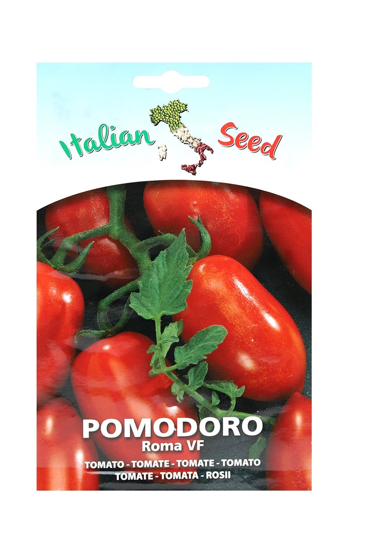 Tomato seeds with beard - pzsku/Z295D3B1116D81423F47FZ/45/_/1736107978/9bf4fa3e-d3ee-4b3f-a658-11626154b3ce