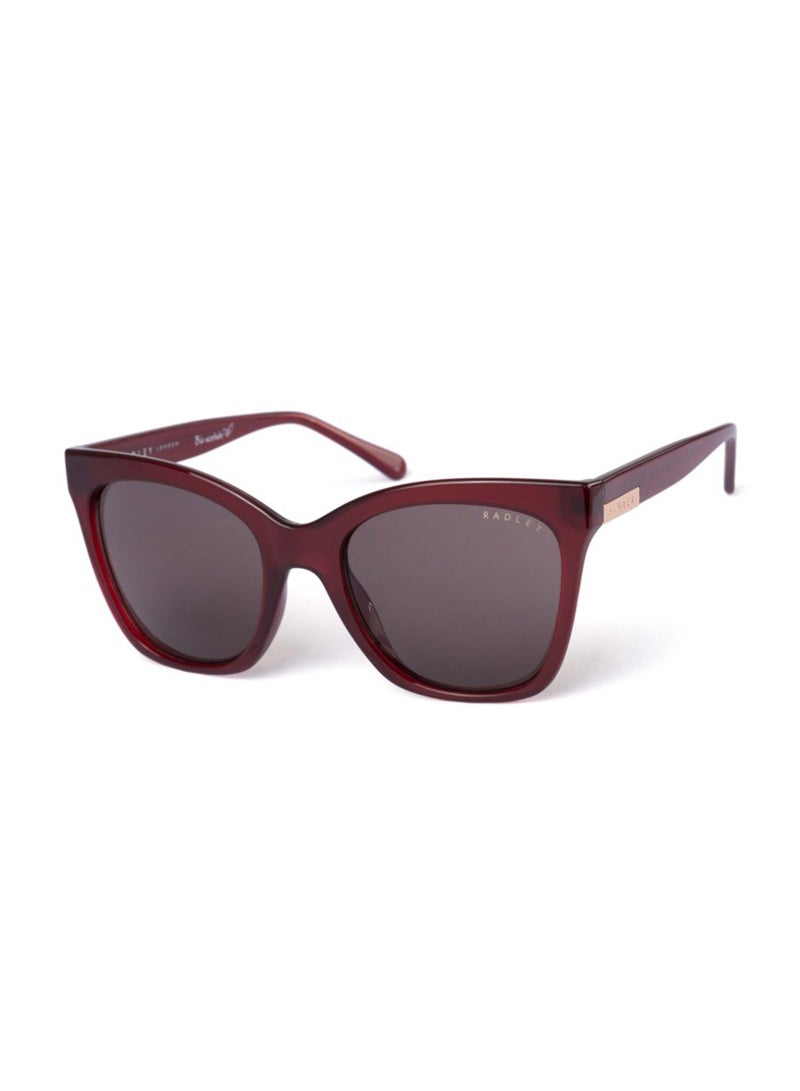 Radley نظارات شمسية نسائية بتصميم فراشة RDS-6504 ملونة بني 55 مم - Image 1