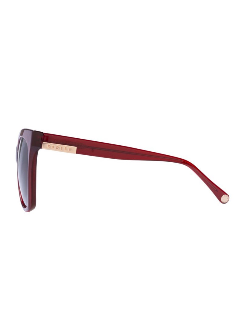 Radley نظارات شمسية نسائية بتصميم فراشة RDS-6504 ملونة بني 55 مم - Image 3