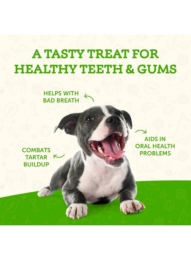 Animal Essentials SeaDent for Dogs - Kelp and Enzymes Plaque, Tartar Control Formula, Alpha Beta Amylase, Cellulase, Marshmallow Root, Slippery Elm Inner Bark, All Natural - 2.5 Oz (Pack of 1) - Image 5