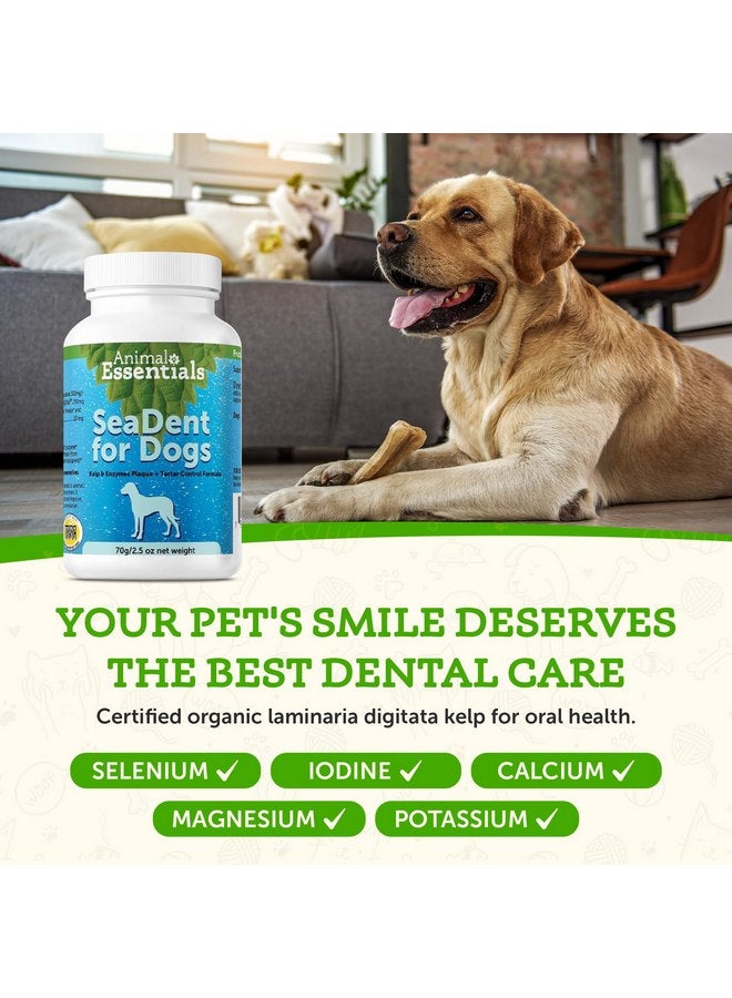 Animal Essentials SeaDent for Dogs - Kelp and Enzymes Plaque, Tartar Control Formula, Alpha Beta Amylase, Cellulase, Marshmallow Root, Slippery Elm Inner Bark, All Natural - 2.5 Oz (Pack of 1) - Image 4