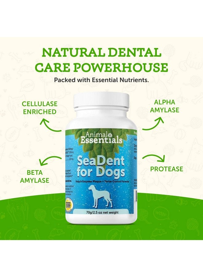 Animal Essentials SeaDent for Dogs - Kelp and Enzymes Plaque, Tartar Control Formula, Alpha Beta Amylase, Cellulase, Marshmallow Root, Slippery Elm Inner Bark, All Natural - 2.5 Oz (Pack of 1) - Image 3