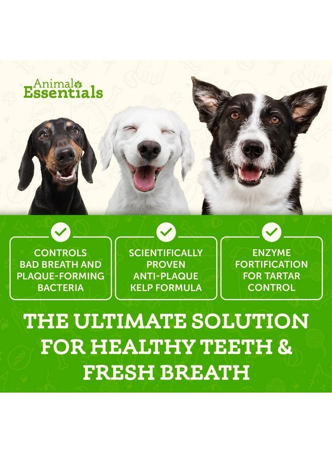 Animal Essentials SeaDent for Dogs - Kelp and Enzymes Plaque, Tartar Control Formula, Alpha Beta Amylase, Cellulase, Marshmallow Root, Slippery Elm Inner Bark, All Natural - 2.5 Oz (Pack of 1) - Image 2
