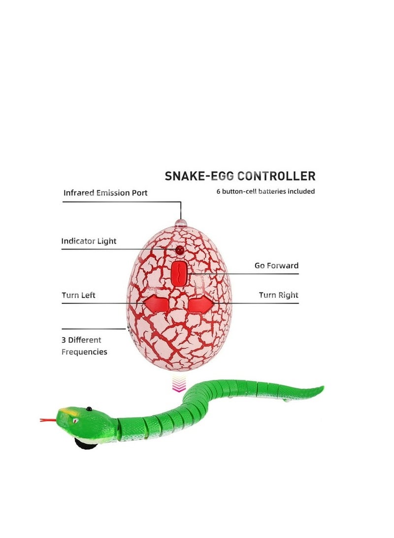 لعبة ثعبان بجهاز تحكم عن بعد - روبوت ثعبان واقعي بجهاز تحكم عن بعد مع حركة مرنة، لعبة متحركة تفاعلية للأطفال والمراهقين، لعبة زواحف ممتعة بجهاز تحكم عن بعد - Image 3