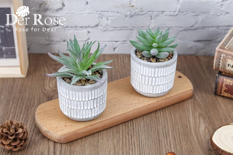 Der Rose Set of 2 Succulents Plants Artificial Fake Cactus Plants for Living Room Bathroom Bedroom Aesthetic Home Shelf Decor - Image 2