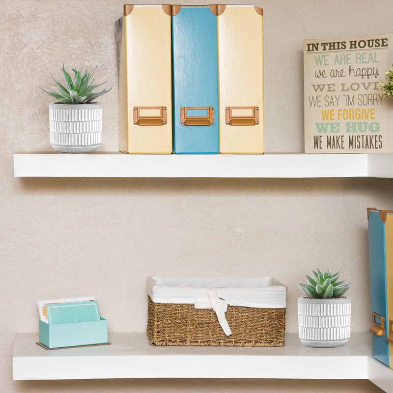 Der Rose Set of 2 Succulents Plants Artificial Fake Cactus Plants for Living Room Bathroom Bedroom Aesthetic Home Shelf Decor - Image 4